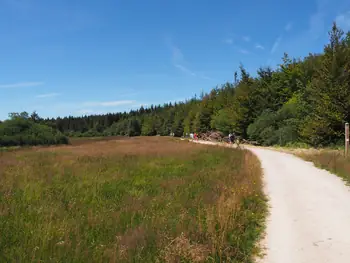 Signal de Botrange (België)